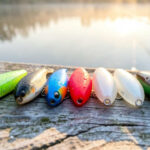 Best Soft Plastic Swimbaits Reviewed: Paddle Tail Picks Today