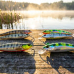 Best Topwater Lures Reviewed: Walking, Popping, Buzzing Picks