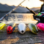 Best Yum Soft Plastics Reviewed By Pro Anglers This Year Now