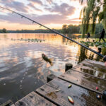 Dock Fishing For Bass: Skipping, Walking, And Pitching Tips