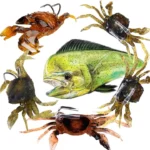 5 Pcs 3 Colors Simulation Fishing Lures Bait