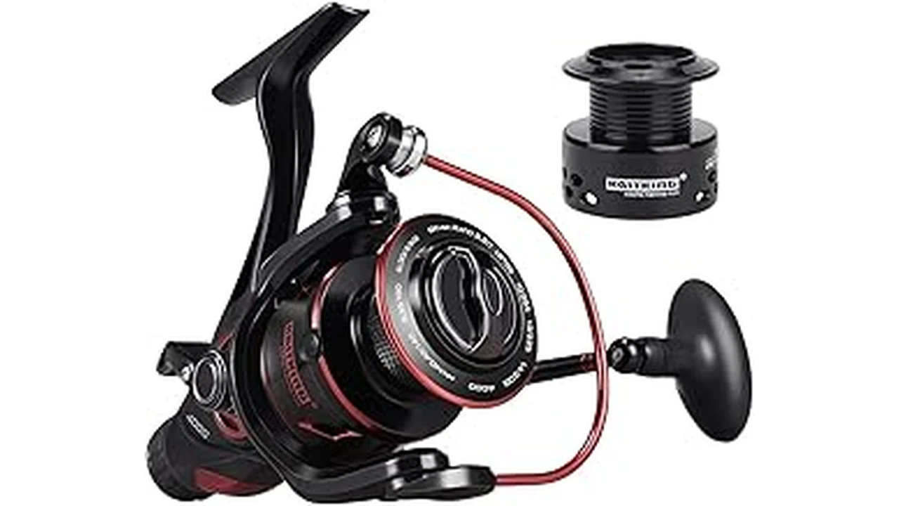 Best 6 Best Bait Runner Reels Reviewed for Live Bait Anglers