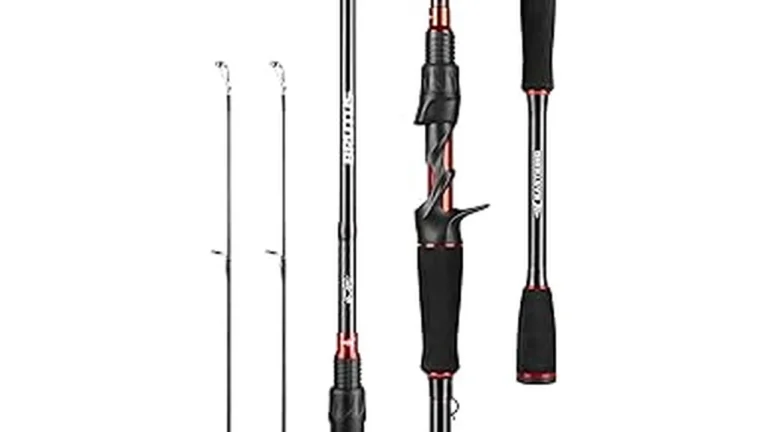 Best 6 Best Jetty Fishing Rods Reviewed for Rock Casting Thi