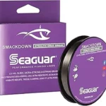 Best Surf Fishing Lines Reviewed: Long Cast Braid Picks Today
