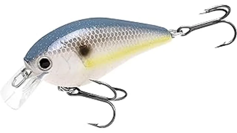 Most Popular 6 Best Crankbaits for Bass: Square Bills, Mid-d
