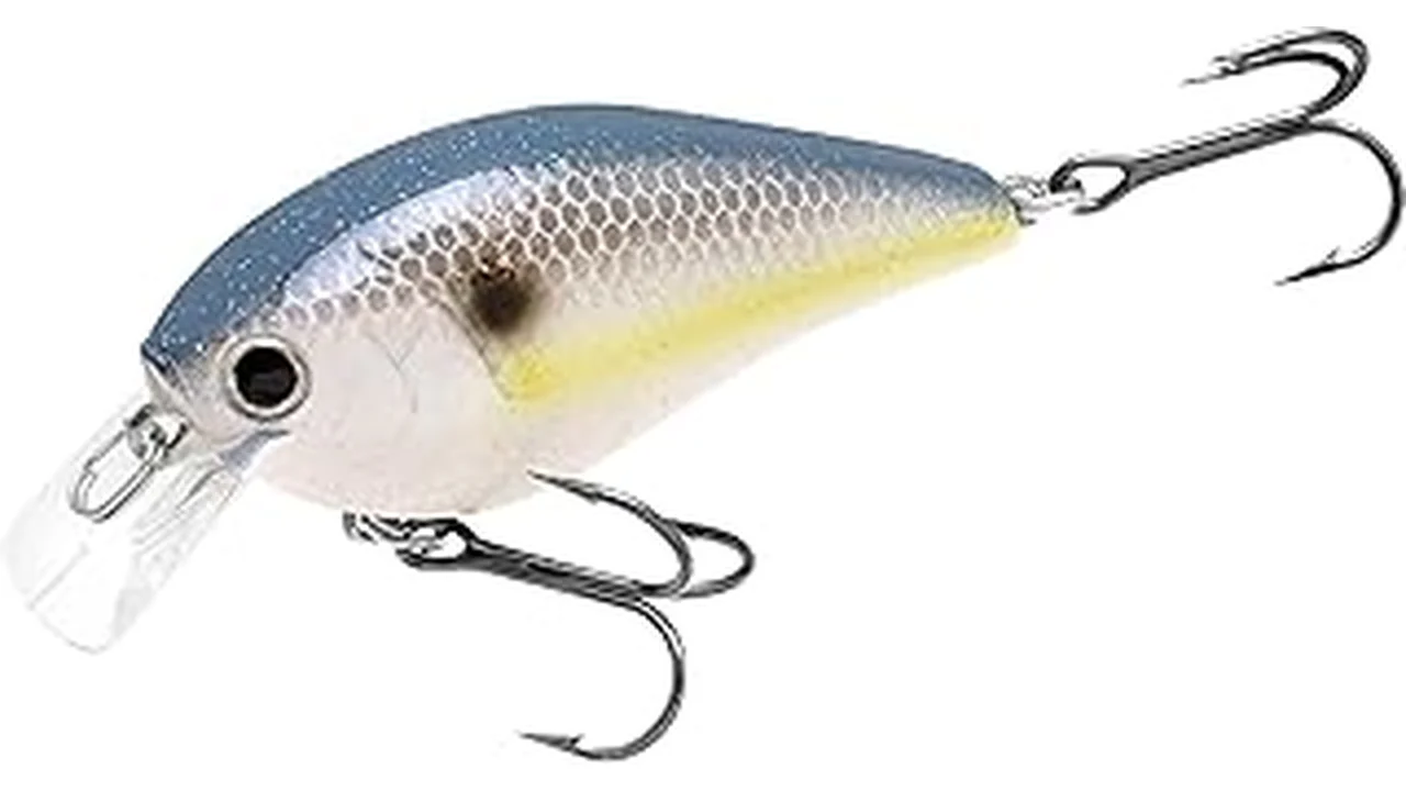 Most Popular 6 Best Crankbaits for Bass: Square Bills, Mid-d