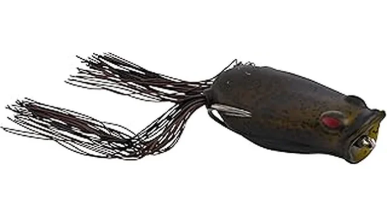 Most Popular 6 Best Topwater Bass Lures Reviewed: Walking Ba