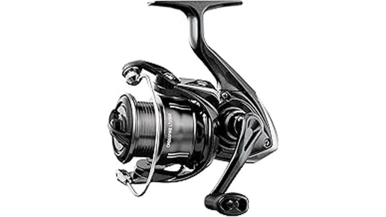 Top Rated 6 Best Spinning Reels Reviewed Under $50: Budget P