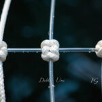 Line-To-Leader Knots: Albright, Double Uni, Fg Knot Compared