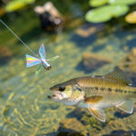 Spinnerbait Bass: Blade Selection, Speed, And Retrieve Tips