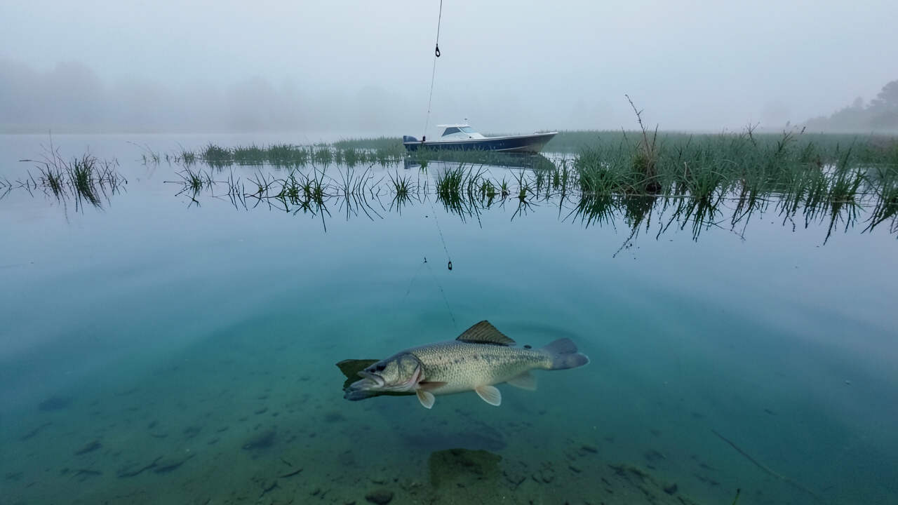 Stable Barometric Pressure and Bass Fishing