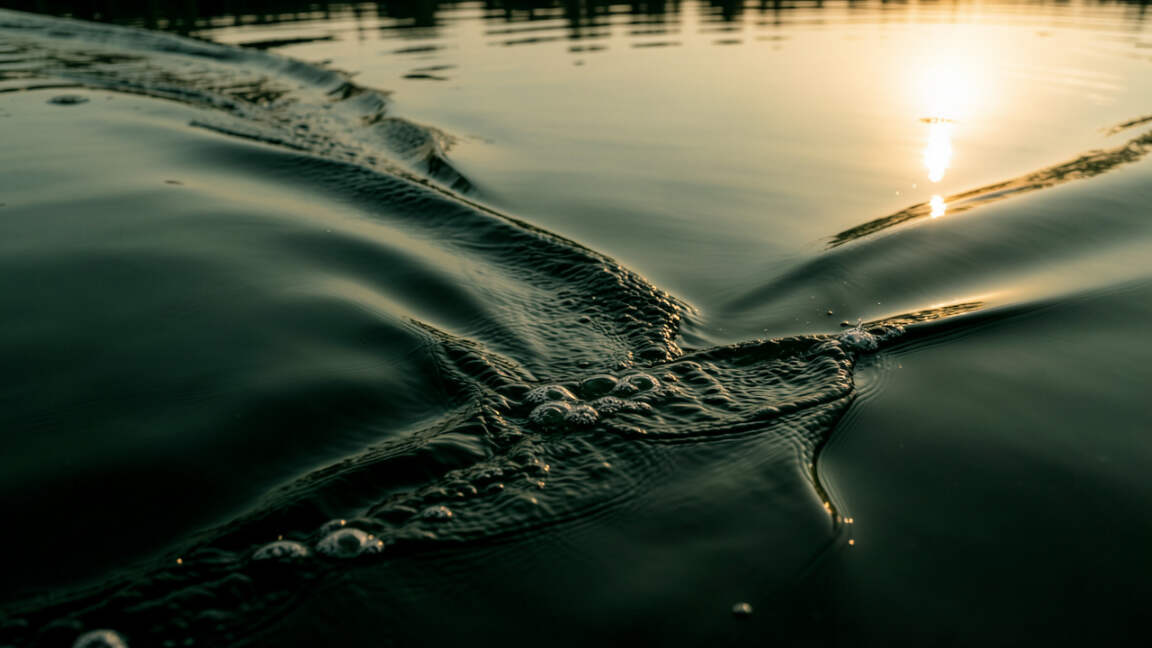 The Big  Understanding Wakes