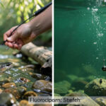 When To Use Fluorocarbon Line: Stealth And Sink Use Cases