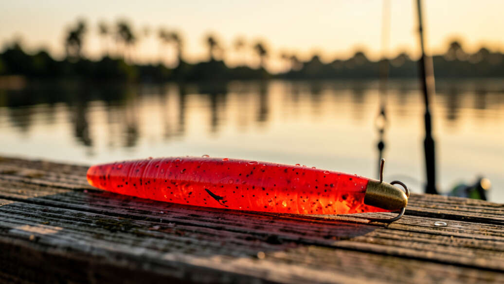 Why the Texas Rig is a Bass Fishing Staple